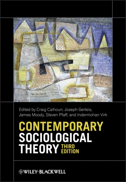 Contemporary Sociological Theory, Paperback / softback Book