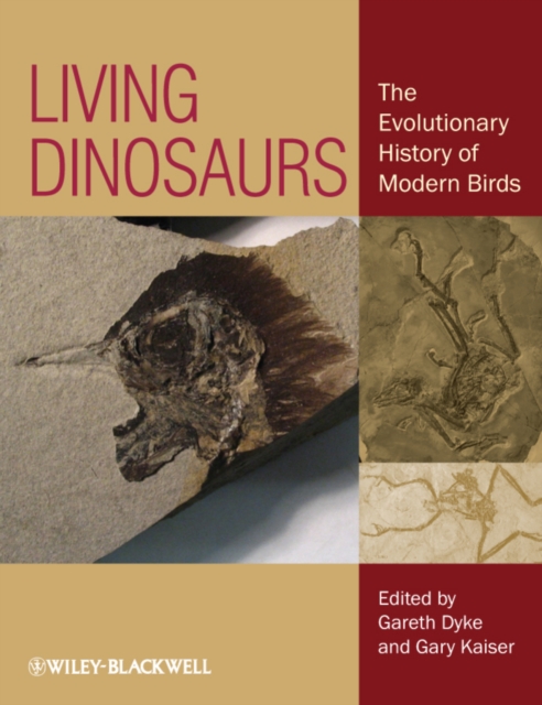 Living Dinosaurs : The Evolutionary History of Modern Birds, Hardback Book