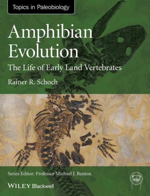 Amphibian Evolution : The Life of Early Land Vertebrates, Hardback Book