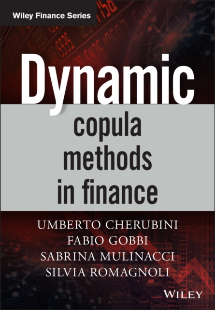 Dynamic Copula Methods in Finance, Hardback Book