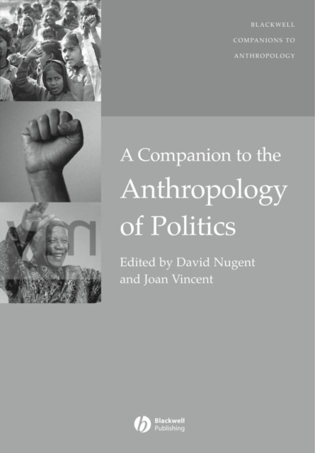 A Companion to the Anthropology of Politics, PDF eBook