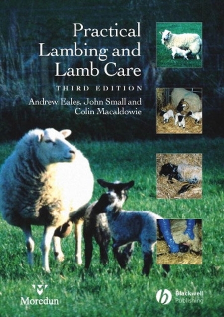 Practical Lambing and Lamb Care : A Veterinary Guide, PDF eBook