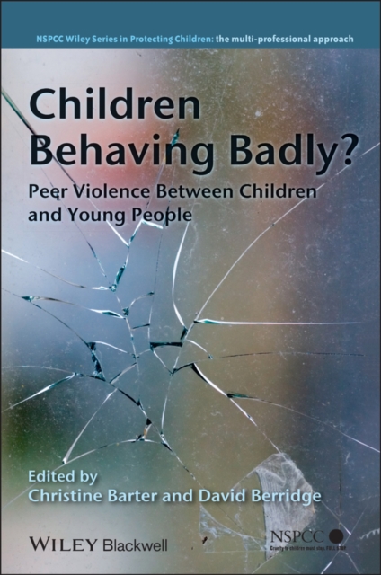 Children Behaving Badly? : Peer Violence Between Children and Young People, Paperback / softback Book