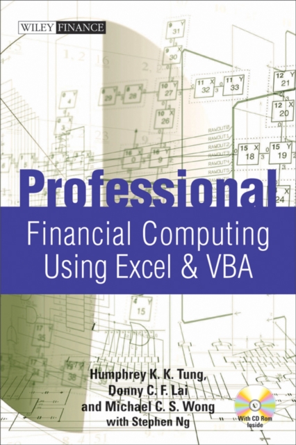 Professional Financial Computing Using Excel and VBA, Hardback Book
