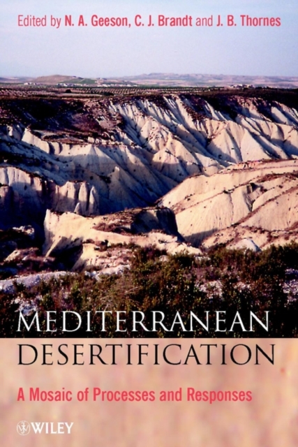 Mediterranean Desertification : A Mosaic of Processes and Responses, PDF eBook