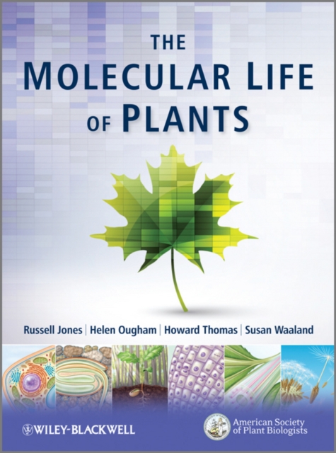 The Molecular Life of Plants, Hardback Book