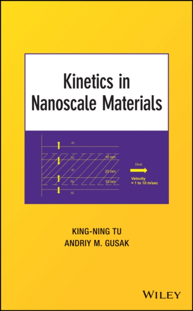 Kinetics in Nanoscale Materials, Hardback Book
