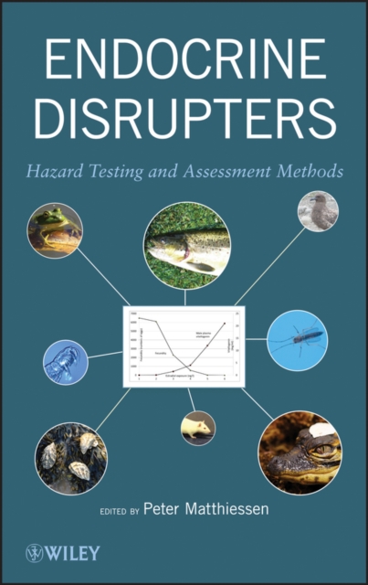 Endocrine Disrupters : Hazard Testing and Assessment Methods, Hardback Book