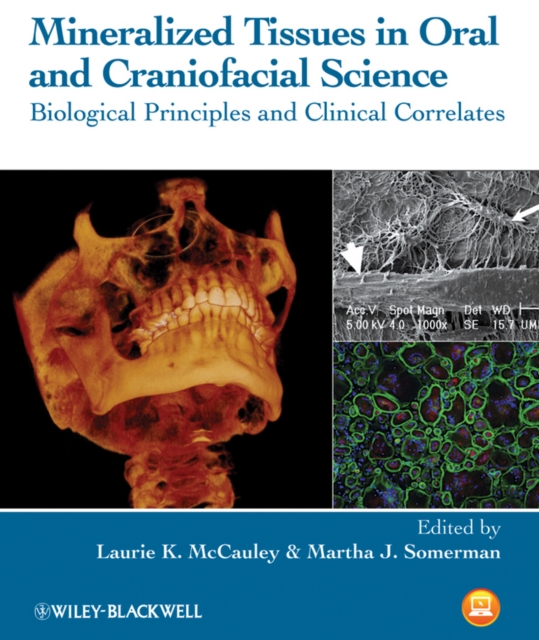 Mineralized Tissues in Oral and Craniofacial Science : Biological Principles and Clinical Correlates, Hardback Book