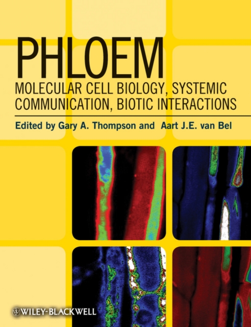 Phloem : Molecular Cell Biology, Systemic Communication, Biotic Interactions, Hardback Book