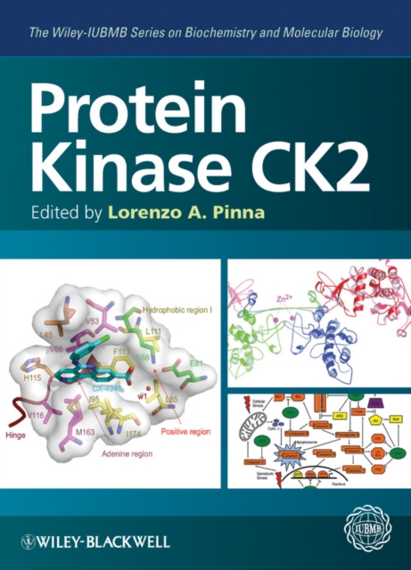Protein Kinase CK2, Hardback Book