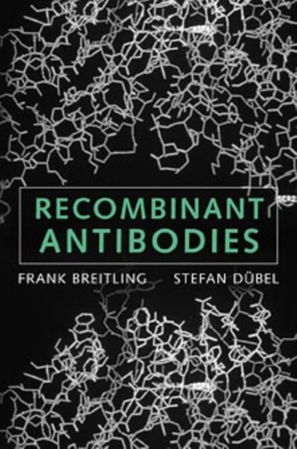 Recombinant Antibodies, Paperback / softback Book