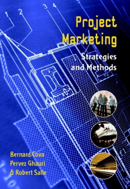 Project Marketing : Beyond Competitive Bidding, Paperback / softback Book