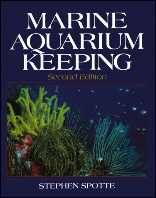 Marine Aquarium Keeping, Paperback / softback Book