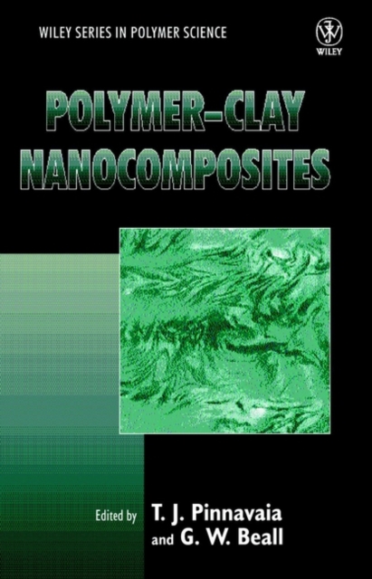Polymer-Clay Nanocomposites, Hardback Book