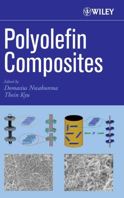Polyolefin Composites, Hardback Book