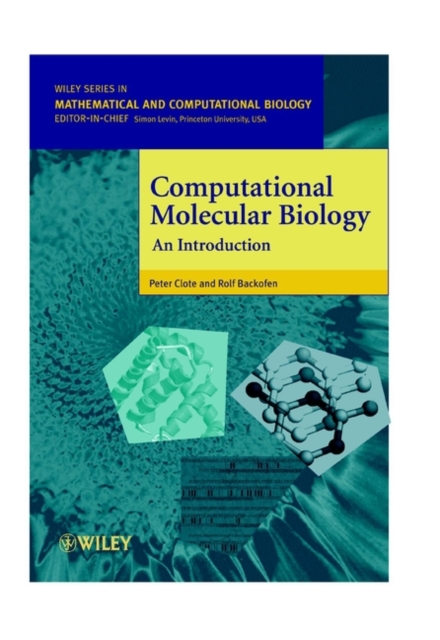 Computational Molecular Biology : An Introduction, Paperback / softback Book