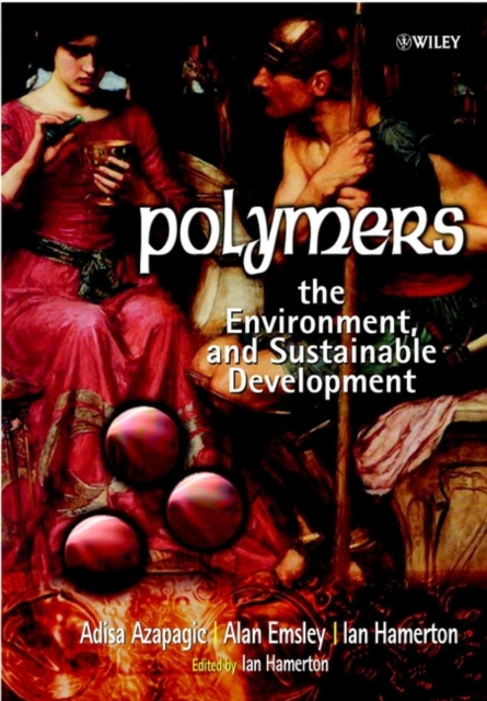 Polymers : The Environment and Sustainable Development, Hardback Book