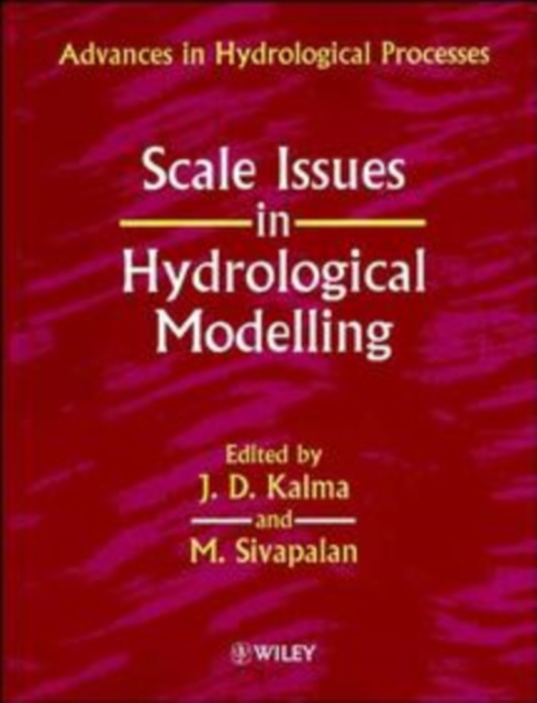 Scale Issues in Hydrological Modelling, Paperback / softback Book