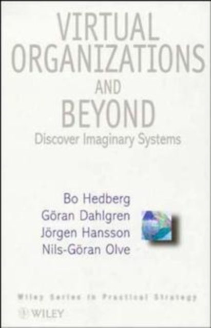 Virtual Organizations and Beyond : Discovering Imaginary Systems, Hardback Book
