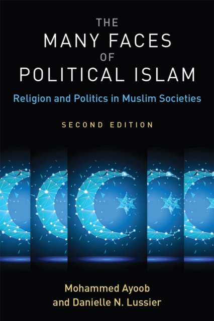 The Many Faces of Political Islam : Religion and Politics in Muslim Societies, Paperback / softback Book