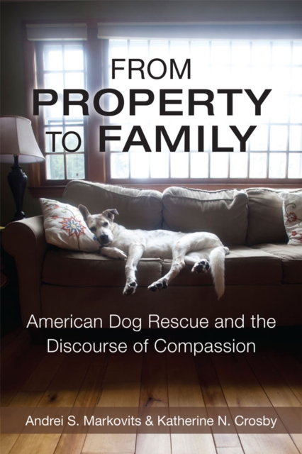 From Property to Family : American Dog Rescue and the Discourse of Compassion, Paperback / softback Book