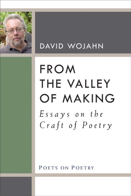 From the Valley of Making : Essays on the Craft of Poetry, Paperback / softback Book