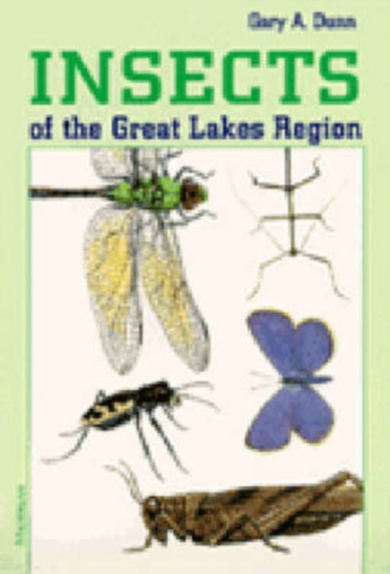 Insects of the Great Lakes Region, Paperback / softback Book