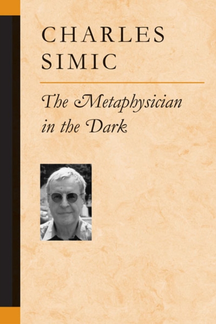 The Metaphysician in the Dark, Paperback / softback Book