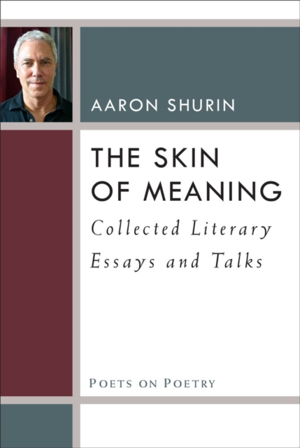 The Skin of Meaning : Collected Literary Essays and Talks, Hardback Book