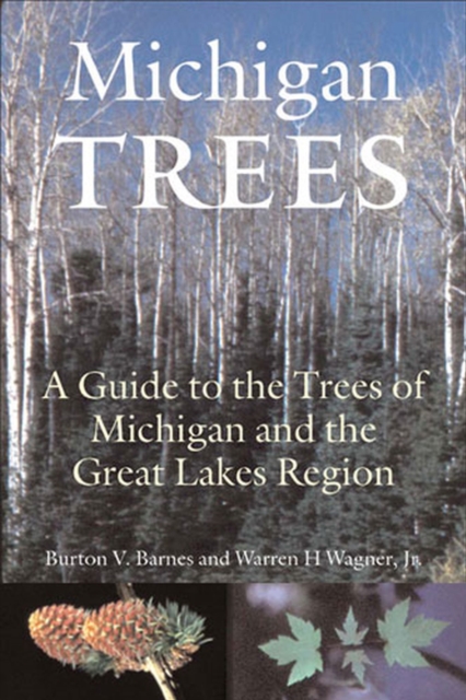 Michigan Trees : A Guide to the Trees of the Great Lakes Region, Paperback / softback Book
