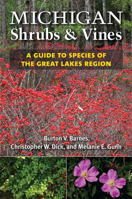 Michigan Shrubs and Vines : A Guide to Species of the Great Lakes Region, Hardback Book
