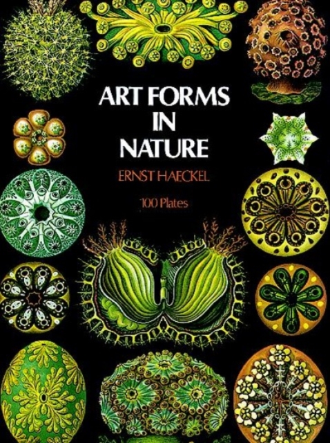 Art Forms in Nature, Paperback / softback Book