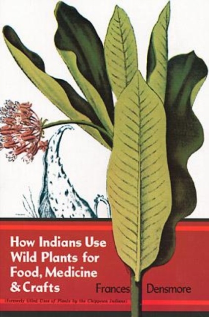 How Indians Use Wild Plants for Food, Medicine and Crafts, Paperback / softback Book