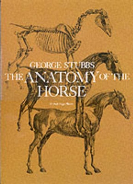 The Anatomy of the Horse, Paperback / softback Book