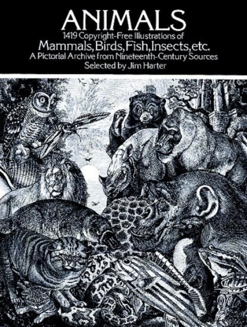 Animals : 1,419 Copyright-Free Illustrations of Mammals, Birds, Fish, Insects, Etc, Paperback / softback Book