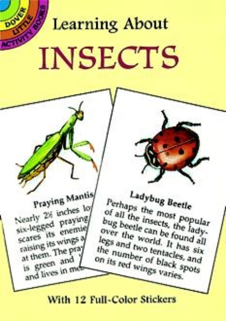 Learning About Insects, Paperback / softback Book