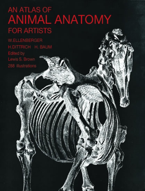 An Atlas of Animal Anatomy for Artists, EPUB eBook