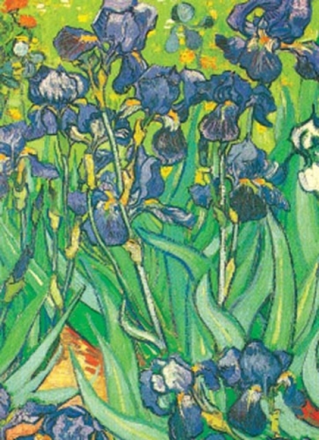 Van Gogh Notebook, Other merchandise Book