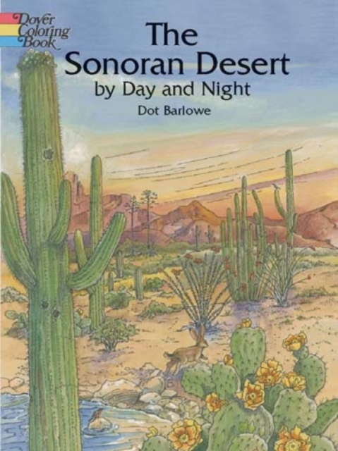 Sonoran Desert by Day and Night, Paperback / softback Book