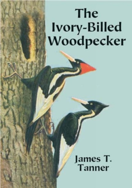 The Ivory-Billed Woodpecker, Paperback / softback Book