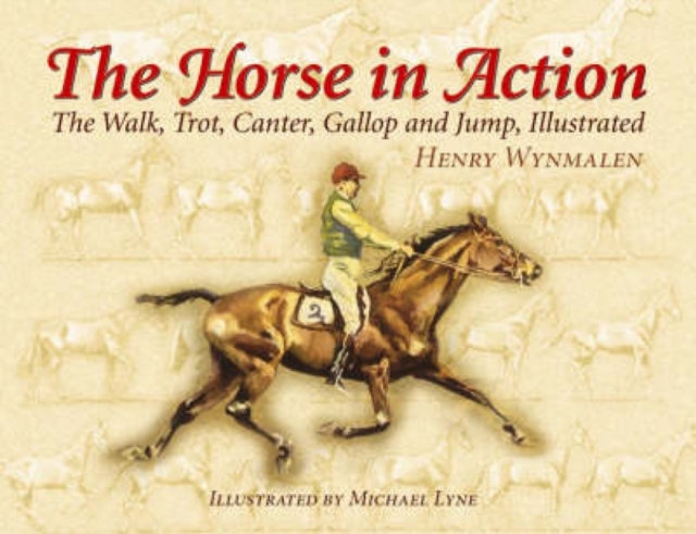 The Horse in Action : The Walk, Trot, Canter, Gallop and Jump, Paperback / softback Book