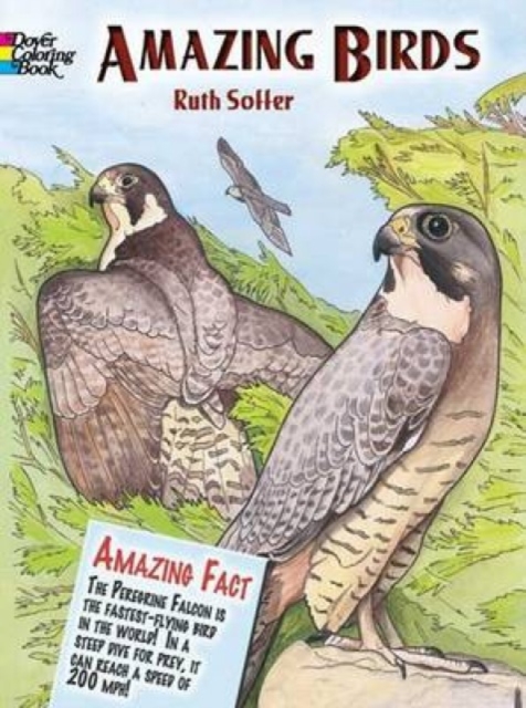 Amazing Birds, Other merchandise Book