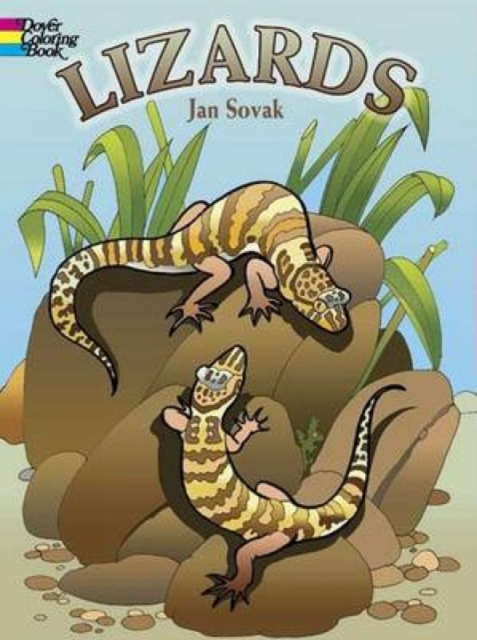 Lizards, Other merchandise Book