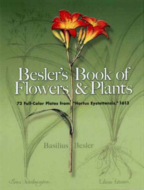 Besler's Book of Flowers and Plants : 73 Full-Color Plates from "Hortus Eystettensis", 1613, Paperback / softback Book