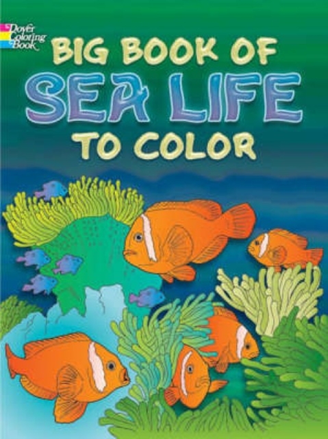 Big Book of Sea Life to Color, Paperback / softback Book