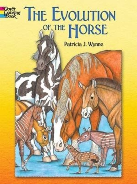 The Evolution of the Horse, Paperback / softback Book