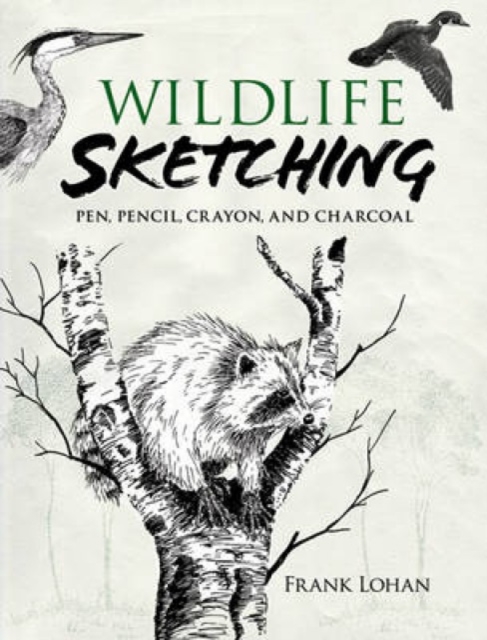 Wildlife Sketching : Pen, Pencil, Crayon and Charcoal, Paperback / softback Book