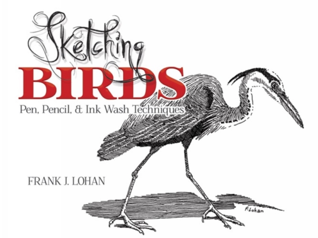 Sketching Birds, Paperback / softback Book