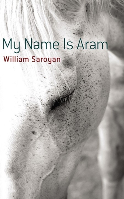 My Name is ARAM, Paperback / softback Book